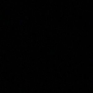 Meet your Posher, Wyatt